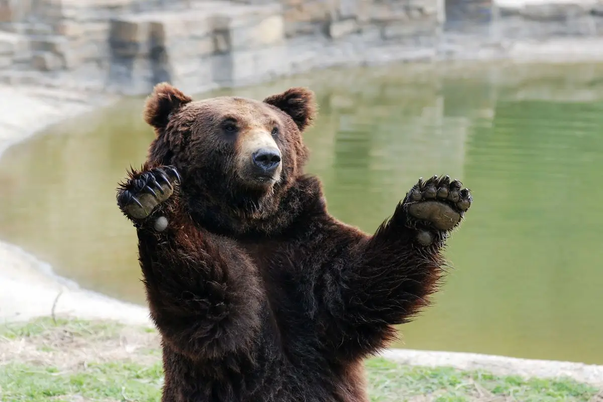 What to Do at Hangzhou Safari Park