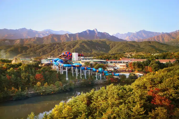 대한민국 강원특별자치도 소재 온천 호텔