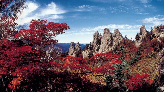 perjalanan satu hari Gunung Seoraksan/Kuil Naksansa dari Seoul, Korea Selatan