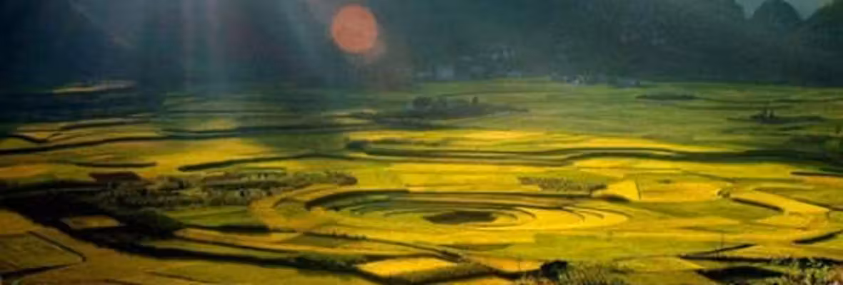 Voli Shenzhen Xingyi