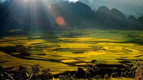 ${{cityDName}} to Luoping Flights