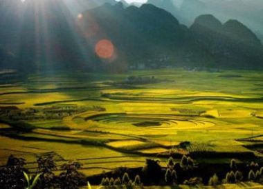 Hưng Nghĩa
