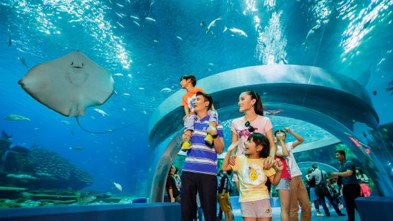 Zhuhai Chimelong International Ocean Resort Penguin Hotel Emperor Penguin Buffet Restaurant Buffet Brunch Combo Ticket Adult/Child/Couple/Family 2 Adults 1 Child Buffet Voucher