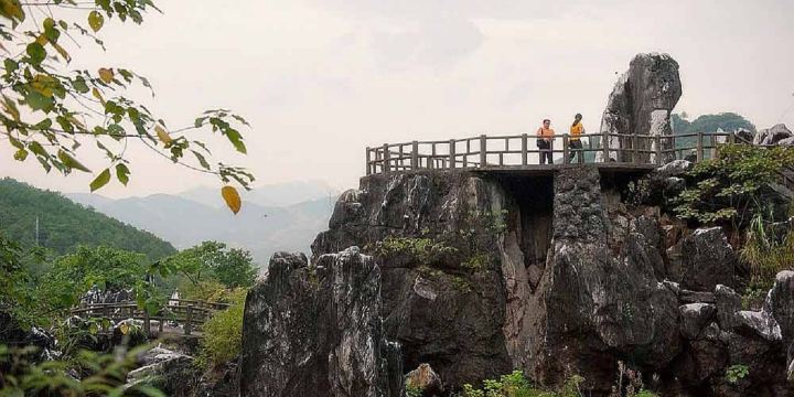 Jade Stone Forest