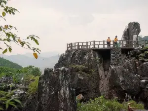 Jade Stone Forest