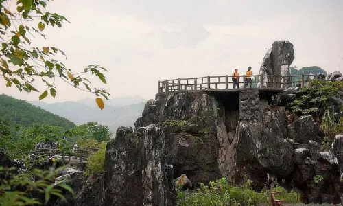 Jade Stone Forest