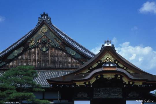 Nijo Castle + Kenninji Temple + Tofukuji Temple + Kyoto Aquarium one-day tour