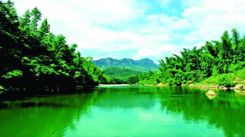 A Tea Scenic Area