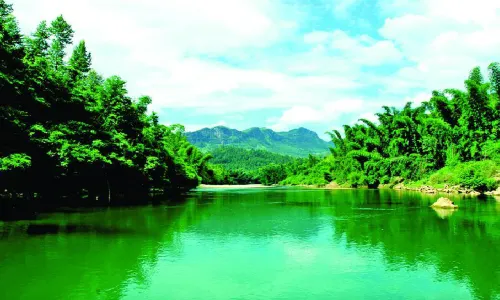 A Tea Scenic Area