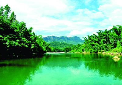 A Tea Scenic Area