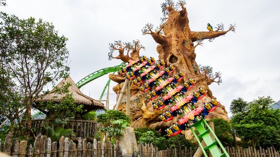 ZhuhaiExperiences