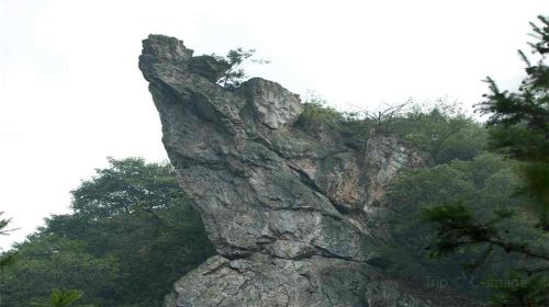 茶馬古道風景區