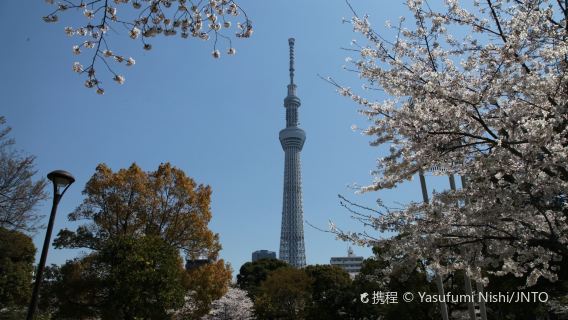 輕井澤町日遊