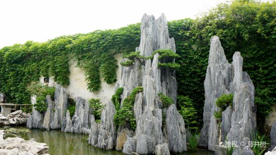 留園半日遊【精品私家小團+90分鐘資深導遊導覽講解+耳麥】