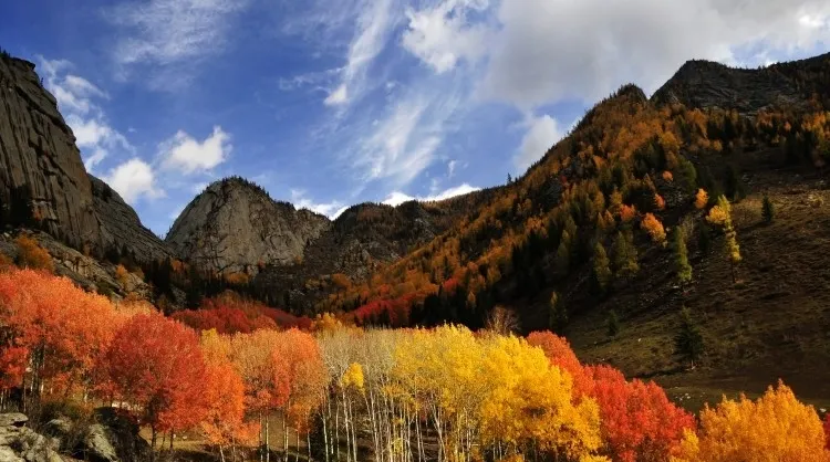 Fall Viewing Attractions