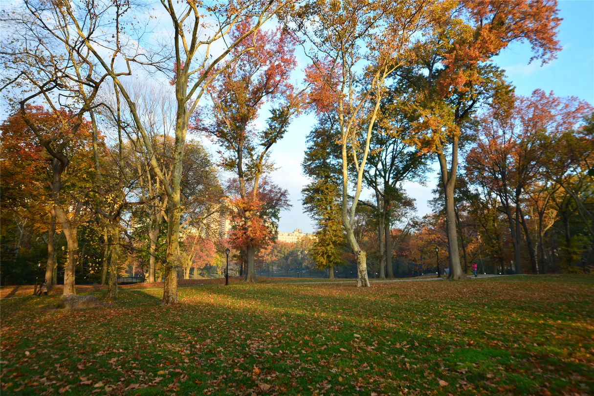 5_Central Park