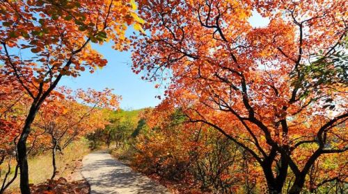 Yellow River Danxia Tourism Scenic Area