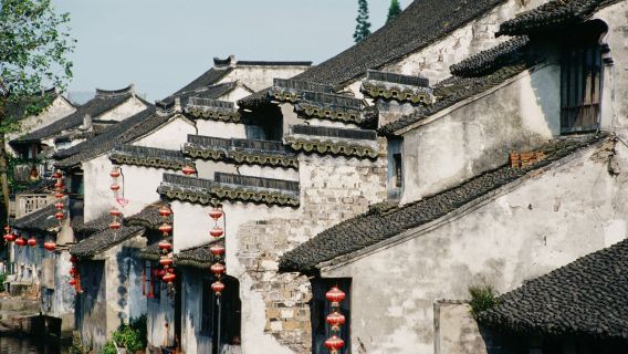 Wuzhen and Xitang Water Town Private Full Day Trip from Shanghai