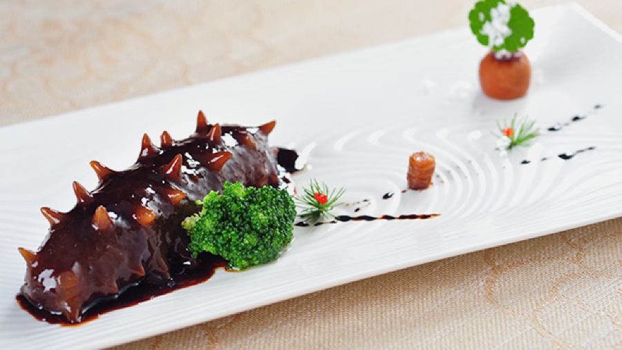 The Voyage of Pujiang