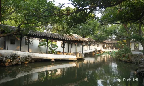 Ancient Town & Garden Tours in Suzhou