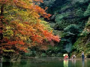 Nine Dragon Pond