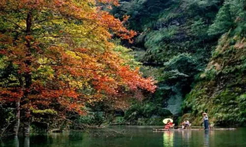 Nine Dragon Pond