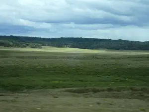 パンアメリカンハイウェイのスタート地点