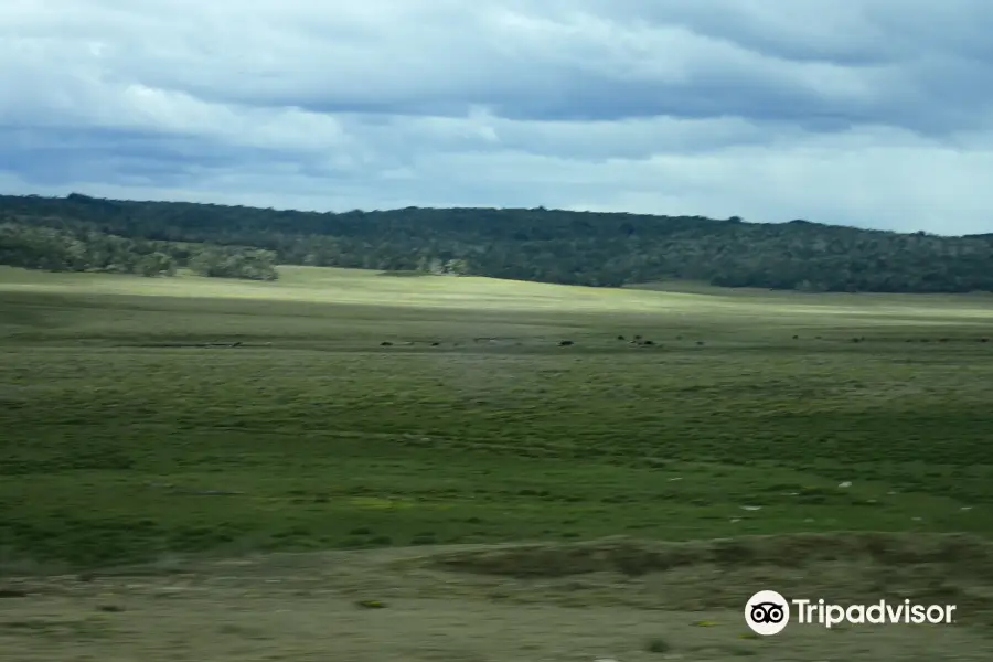 The Starting Point of Pan-American Highway