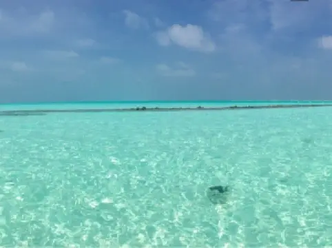 Энбудхоофинолу