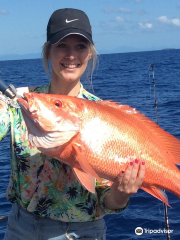 Cairns Reef Fishing