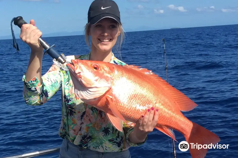 Cairns Reef Fishing