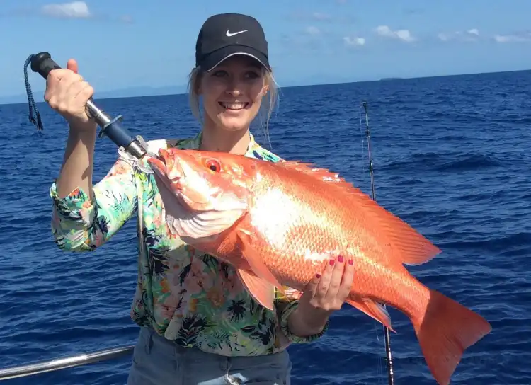 Hotels in der Nähe von Cairns Reef Fishing