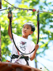 Datanla High Rope Course