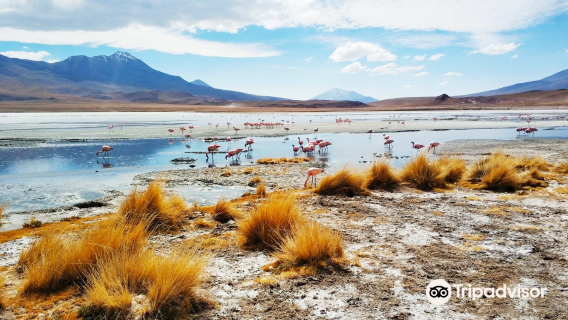 Uyuni