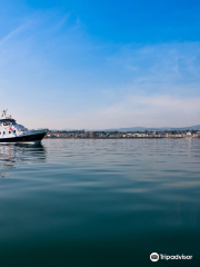 Dublin Bay Cruises