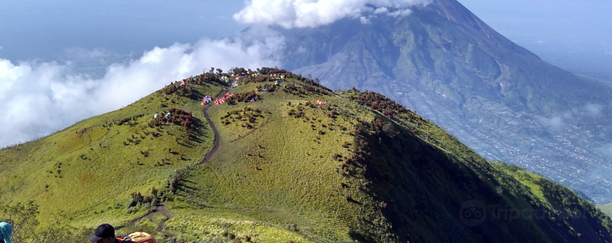 Mount Merbabu National Park