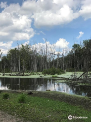 Eagle Marsh Nature Preserve