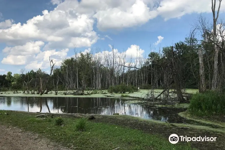 Eagle Marsh Nature Preserve