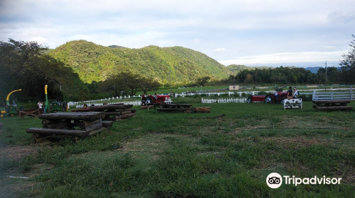 Hattori Dairy Farm