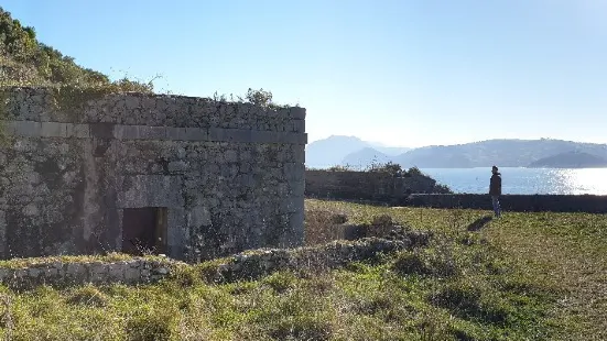 Fuerte San Carlos