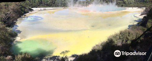 Waiotapu Mud Pool