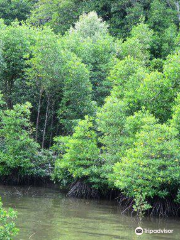 Pulau Selirong Forest Recreation Park