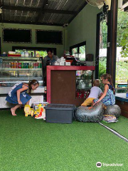 Samui Sheep farm and salad bar