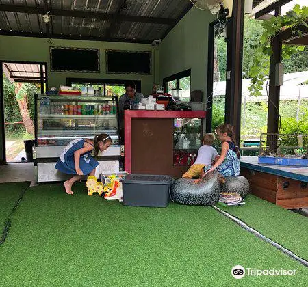 Samui Sheep farm and salad bar