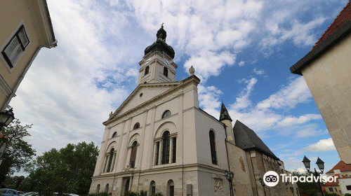 Cathedral Basilica of the Assumption of Our Lady