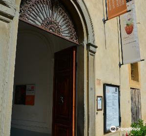 Museo Etrusco