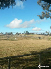 Mowbray Park Farm - Day Visits