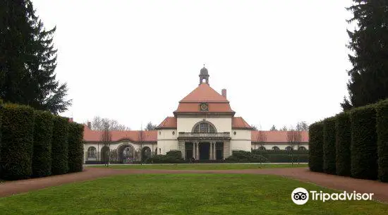 Cemetery Wiesbaden (South)