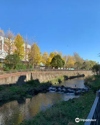 Itachi River Inarimori no Mizube