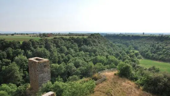 Necropoli Etrusca di Castel d'Asso